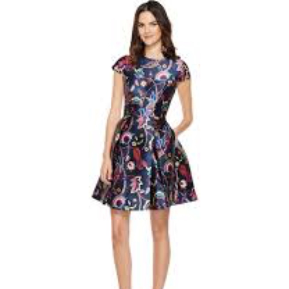 Ted Baker Skater Dress Size 1
